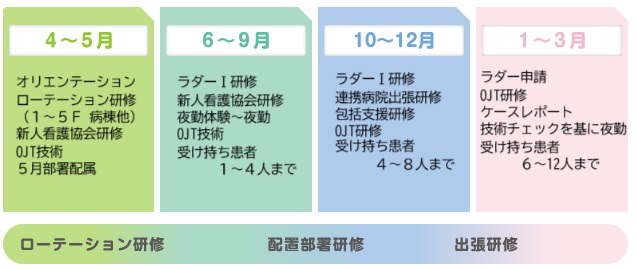 新人教育スケジュール